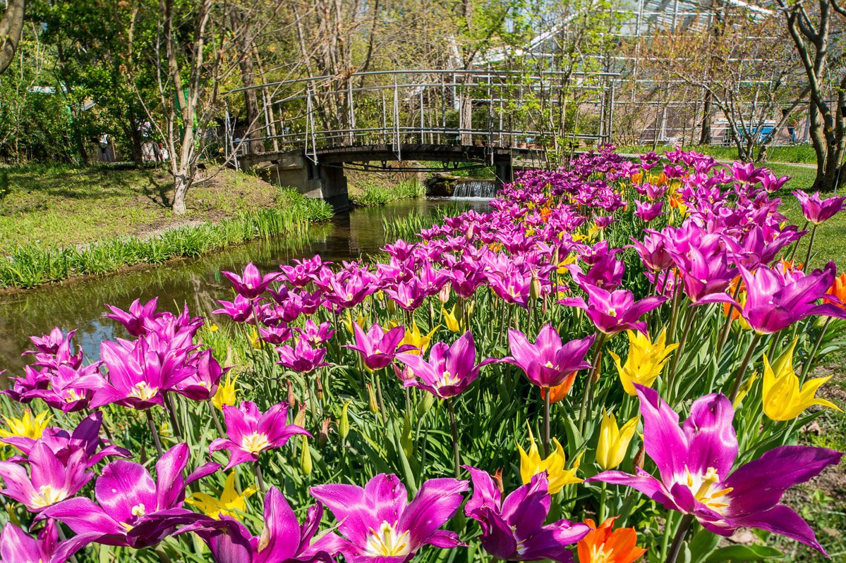 Trauttmansdorff im Frühling
