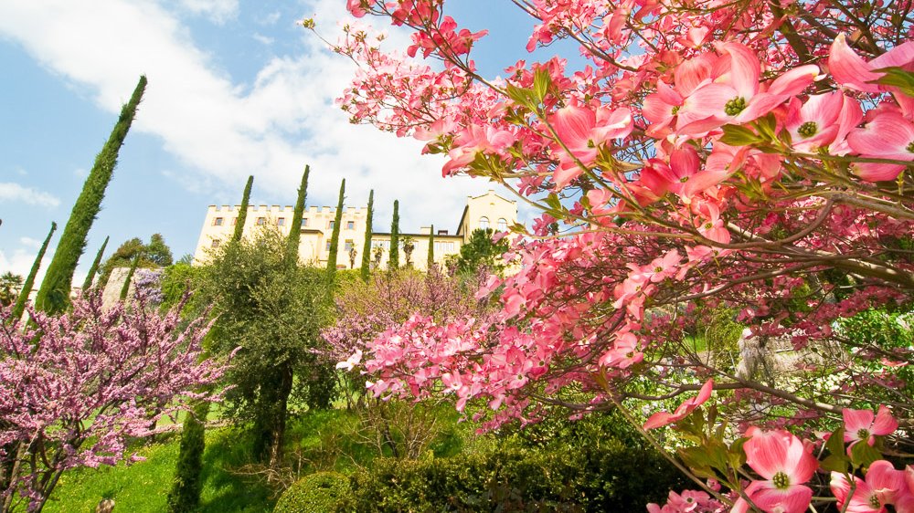 Trauttmansdorff im Frühling
