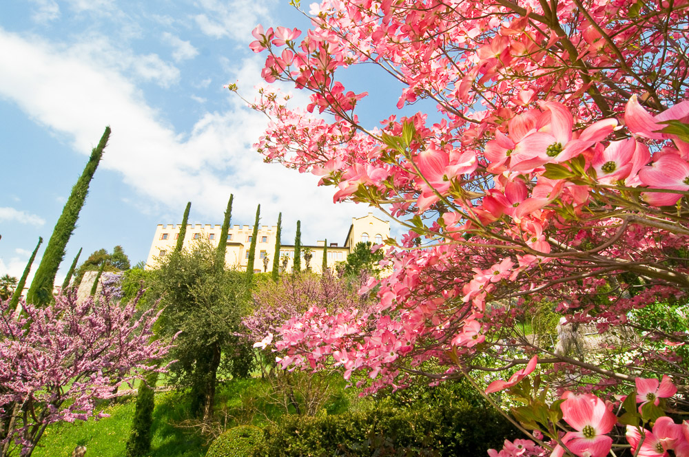 Trauttmansdorff im Frühling